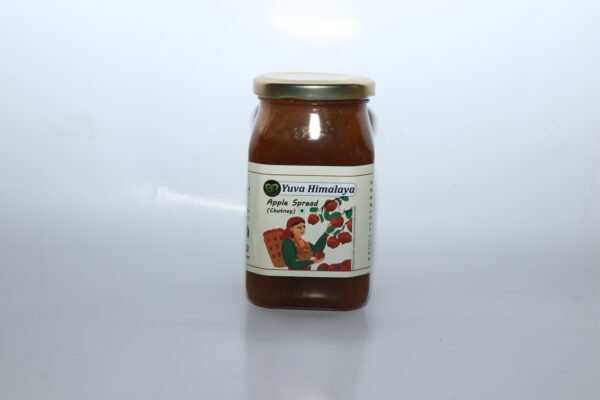 Apple Spread Chutney